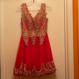 Red Sparkly Dress